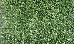 门球场专用卷曲草(不充砂) 　　门球场专用网丝草(充砂) 　　一、门球介绍 　　门球起源于法国，